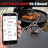 ��������� ���������� ��� ����, ������� ThermoPro TP-902 � Bluetooth 5.0 (100 �) �� 2 ���� 