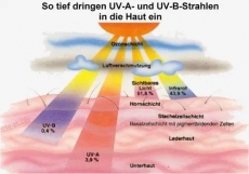 PCE-UV 34 ���������� �� ��������� (��������)